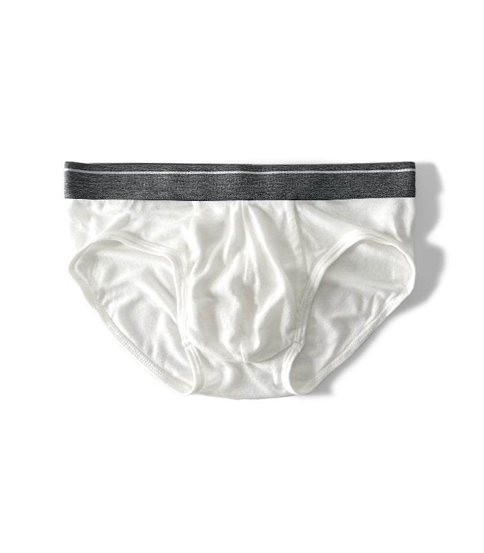 BRIEFS